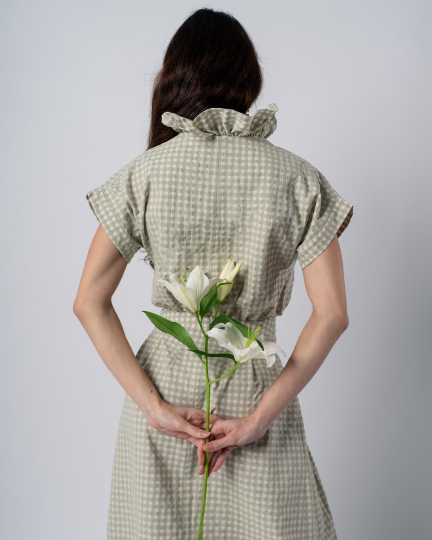 Pleated Skirt with Green and Vanilla Gingham Print, Paired with a Crop Top Featuring an Elastic Waistband and Ruffled Neckline
